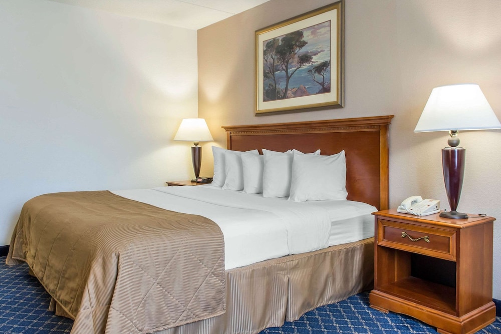 Standard Room, 1 King Bed with Sofa bed, Non Smoking photo 3