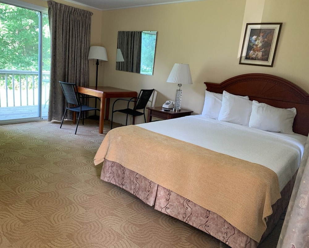 Room, 1 Queen Bed photo 1