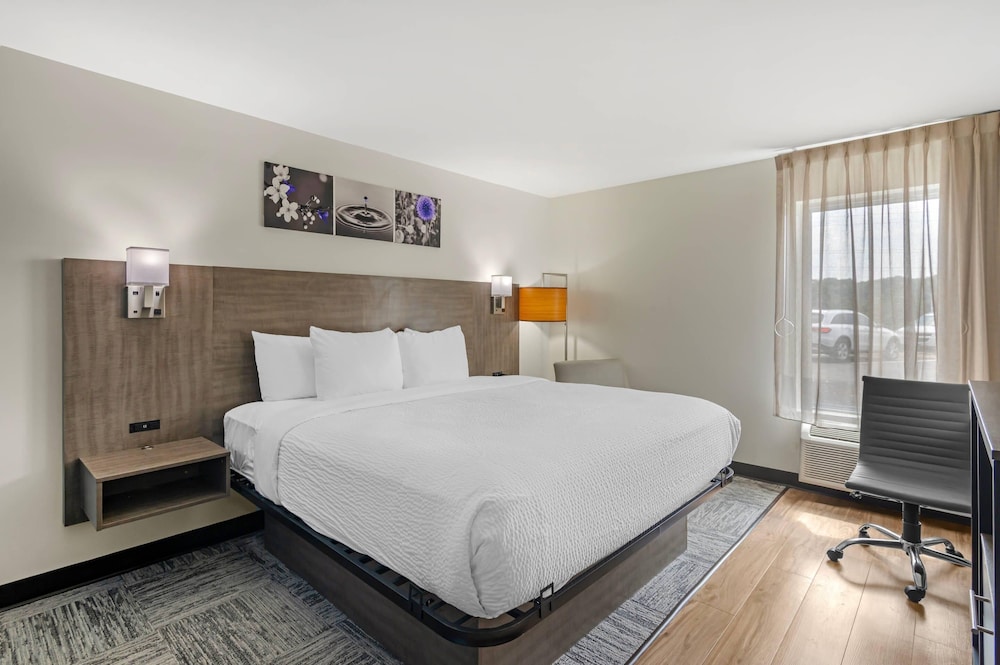 Room, 1 King Bed, Accessible, Non Smoking (Accessible Tub) - Photo 4