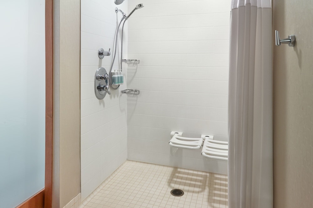 Suite, 1 King Bed with Sofa bed (Mobility/Hearing Access, Roll-In Shwr) - Photo 4