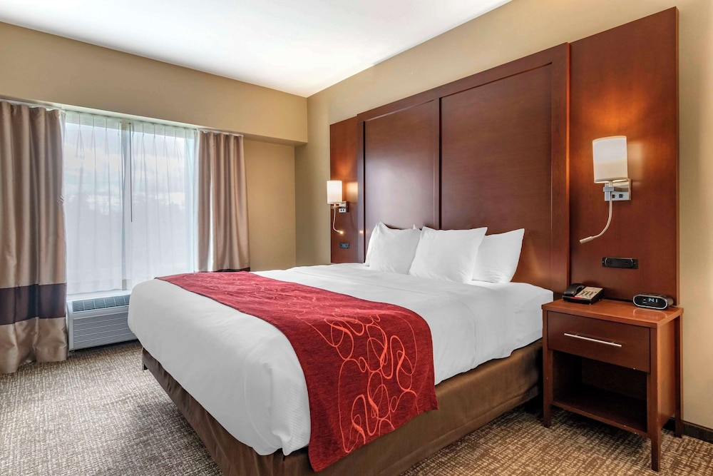Suite, 1 King Bed with Sofa bed, Accessible, Non Smoking photo 1