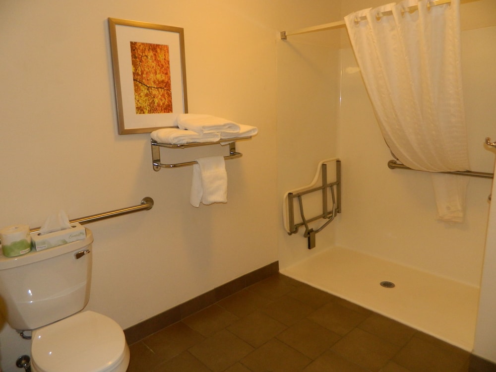 Studio Suite, 1 Queen Bed, Accessible (Mobility, Roll-In Shower)