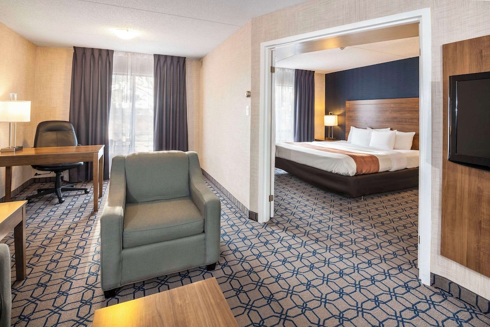 Suite, 1 King Bed With Sofa Bed, Non Smoking (Efficiency, Upgrade) - Photo 6
