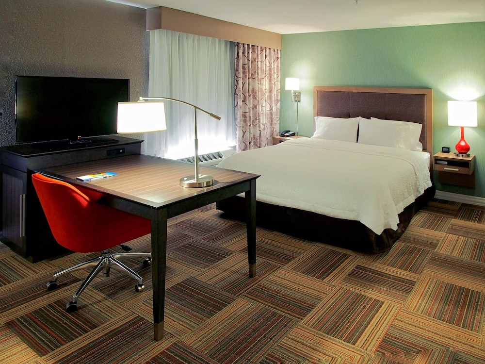 Room, 1 King Bed, Accessible, Non Smoking (mob/hearing acc w/ roll-in shower) photo 3