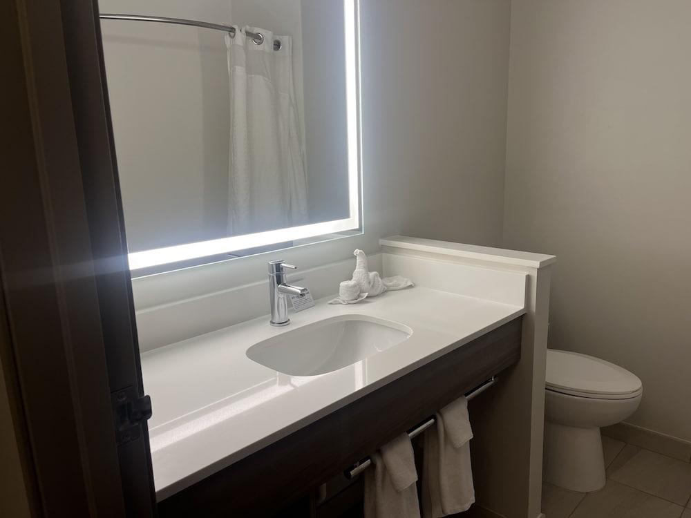 Suite, 1 Queen Bed, Fireplace - Photo 4