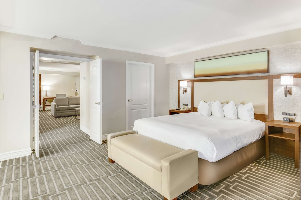 Suite, 1 Bedroom (Ambassador) - Photo 3