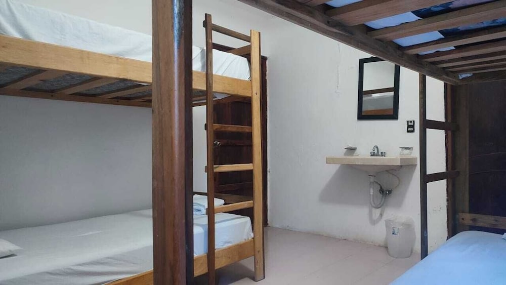 Bed in Shared Dormitory photo 1