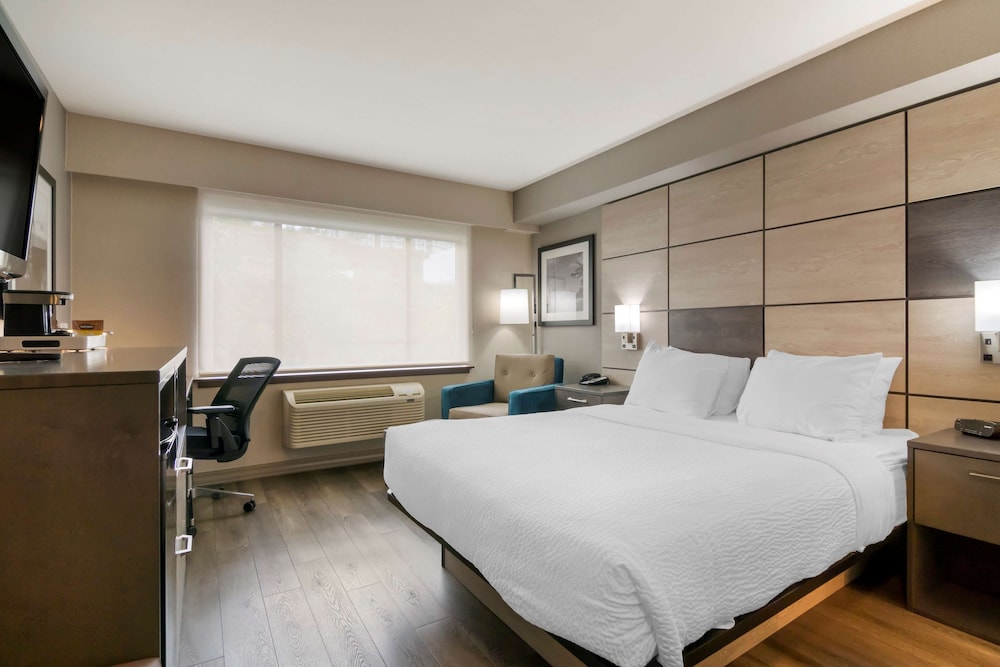 Standard Room, 1 King Bed, Non Smoking, Kitchenette - Photo 3