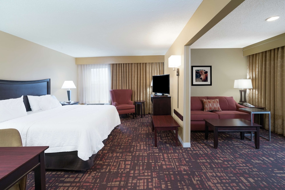 Room, 1 King Bed with Sofa bed, Accessible, Non Smoking (Hearing) - Photo 4