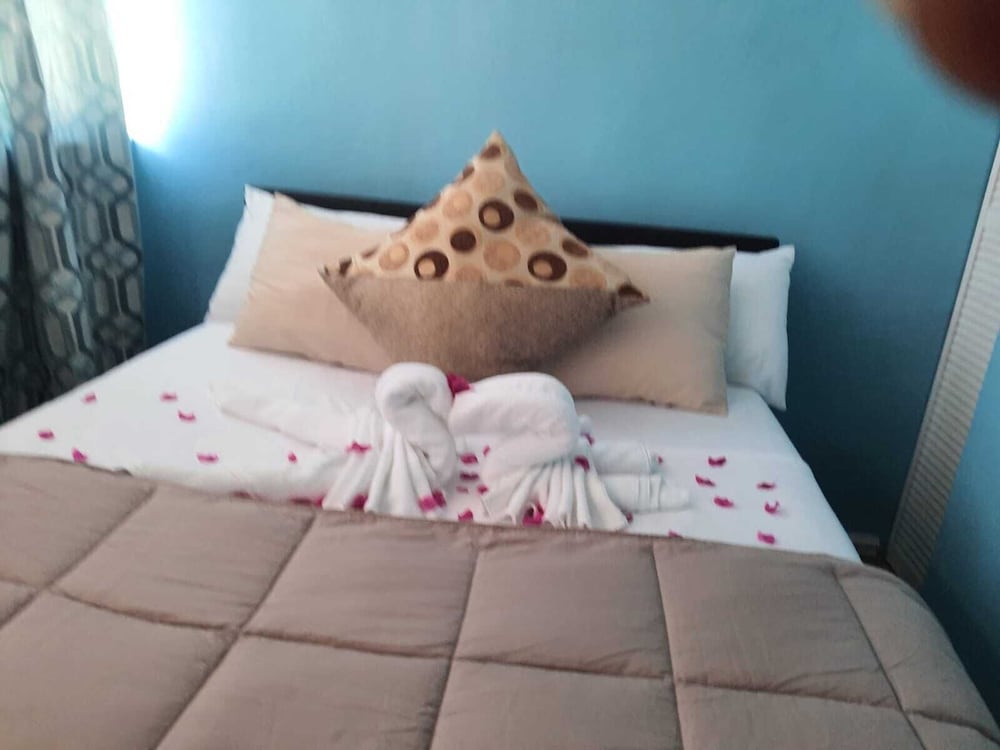 Comfort Suite photo 3