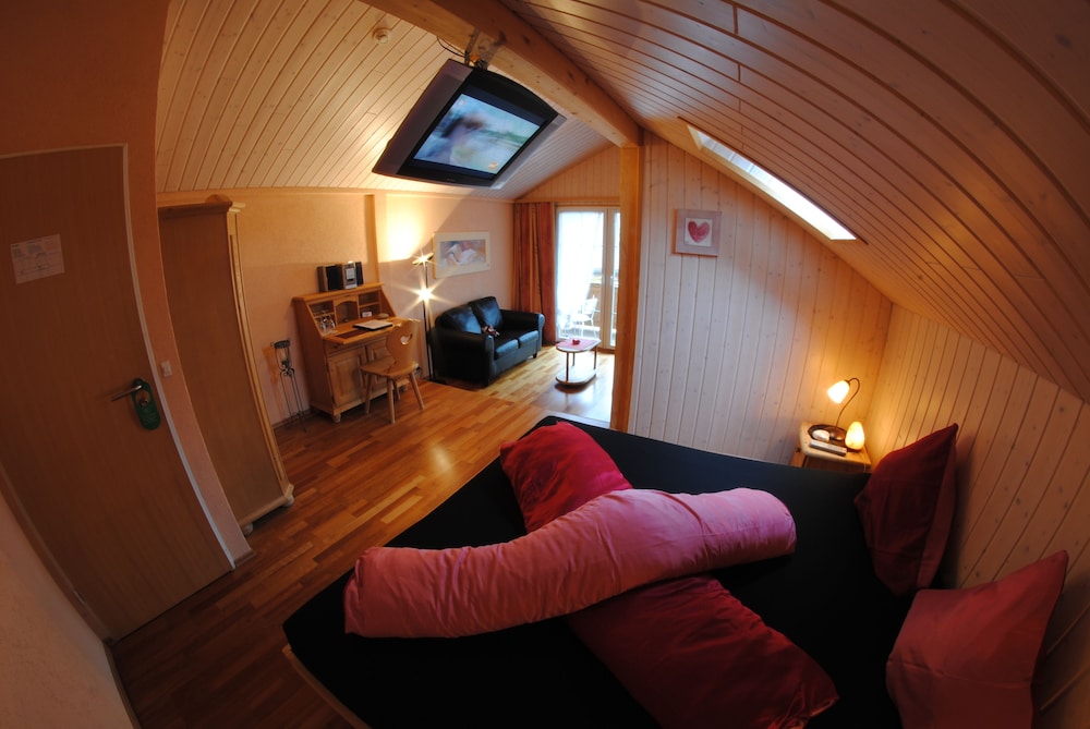 Standard Double Room, Jetted Tub, Mountain View photo 3