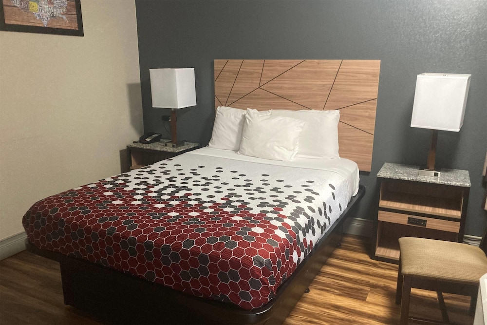 Room, 1 King Bed, Non Smoking photo 3