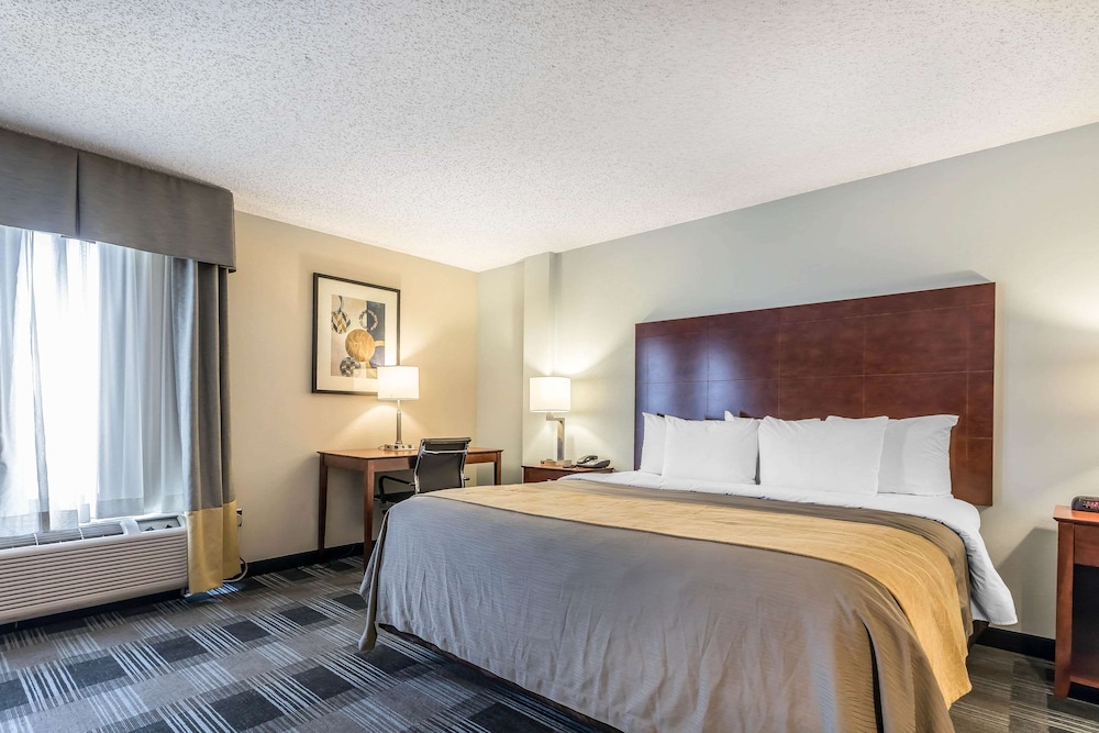Jacuzzi Suite, 1 King Bed, Non Smoking (Upgrade) - Photo 3