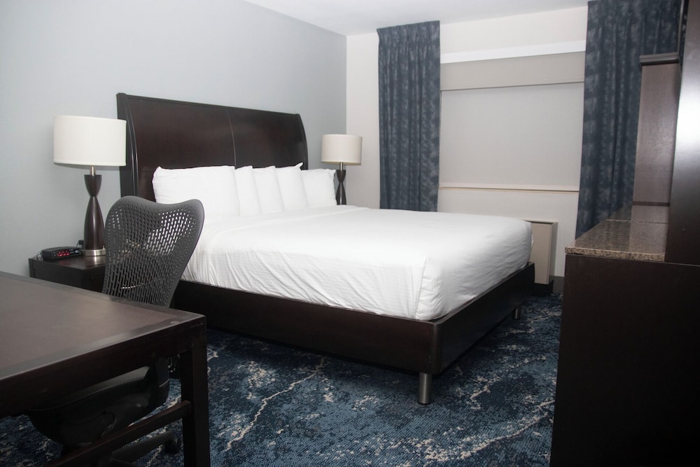 Luxury Room, 1 King Bed, Smoking (Newly Renovated) photo 1
