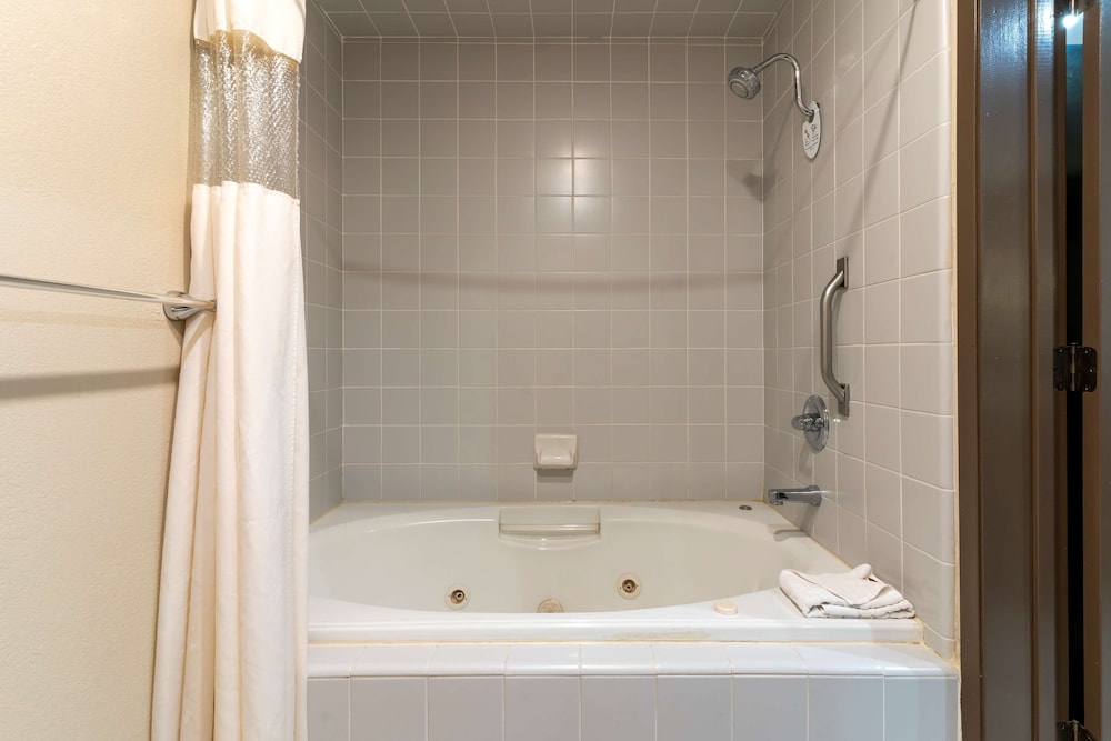 Executive Room, 1 King Bed, Non Smoking, Jetted Tub (With Sofabed) - Photo 4