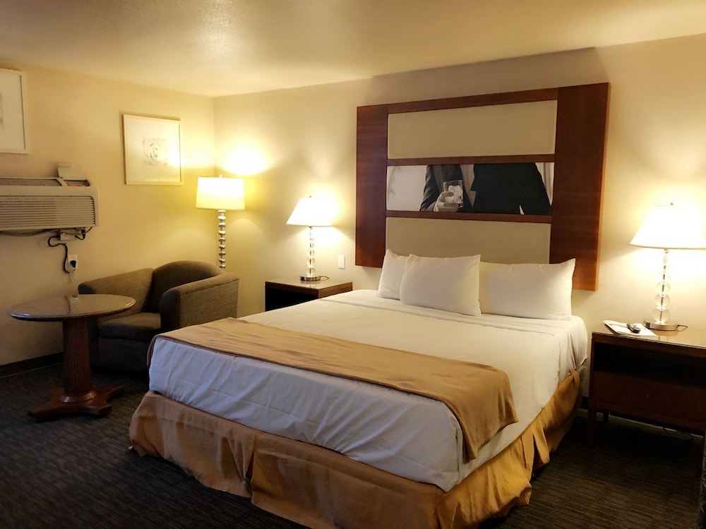 Luxury Single Room, Kitchenette photo 1