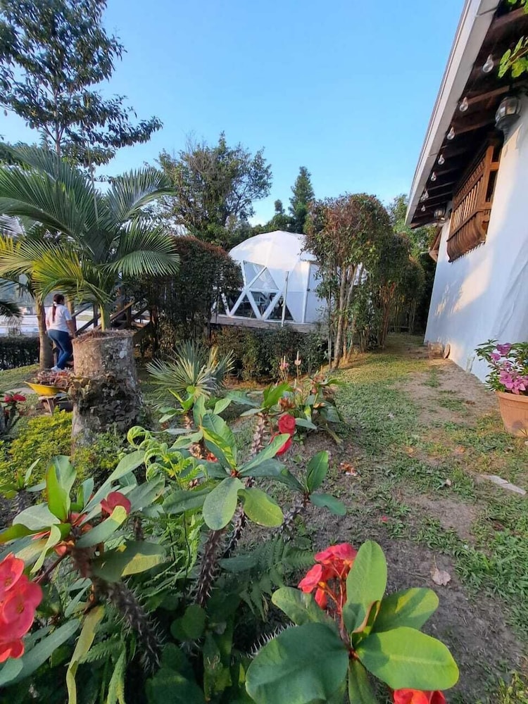 Superior Bungalow, Garden View photo 3