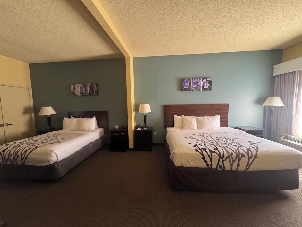 Room, Multiple Beds, Accessible, Non Smoking photo 1