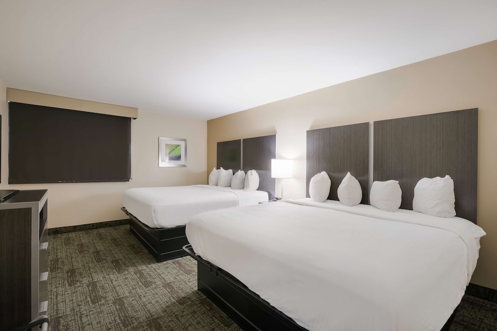 Suite, Multiple Beds, Non Smoking, Kitchenette (with Sofabed) - Photo 2