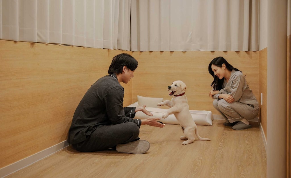 KOUM Deluxe Terrace Pet Room