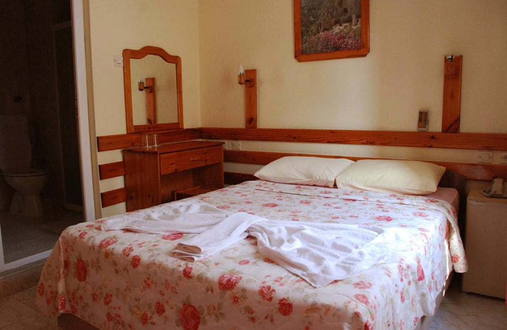Standard Double or Twin Room photo 2