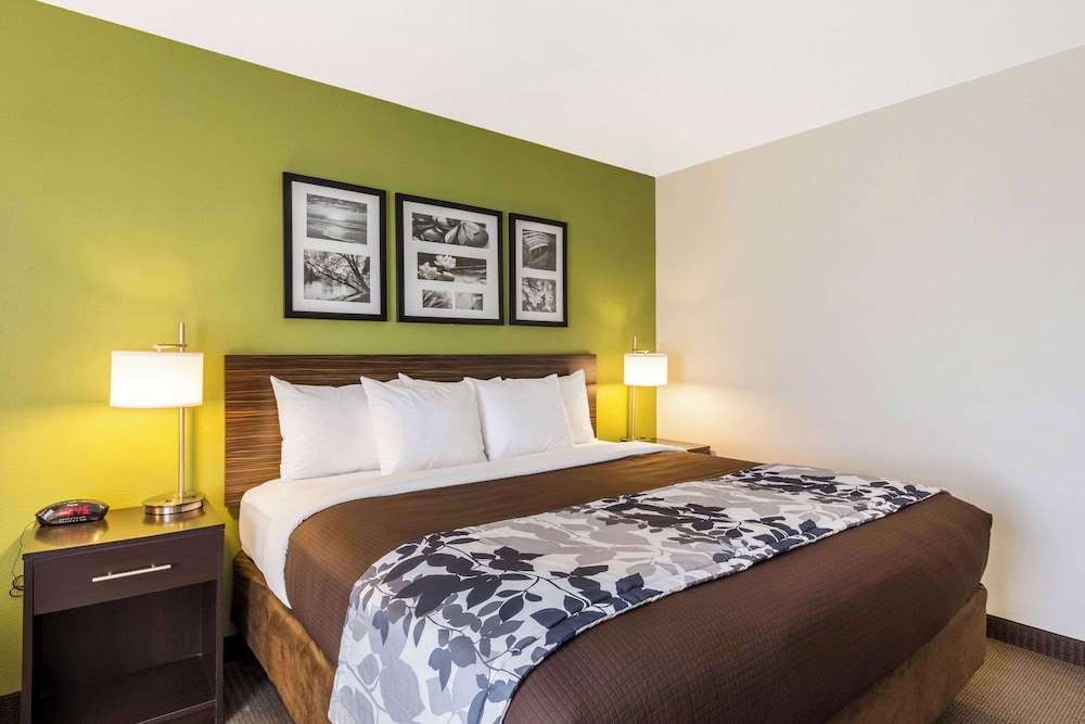 Standard Room, 1 King Bed, Non Smoking photo 3