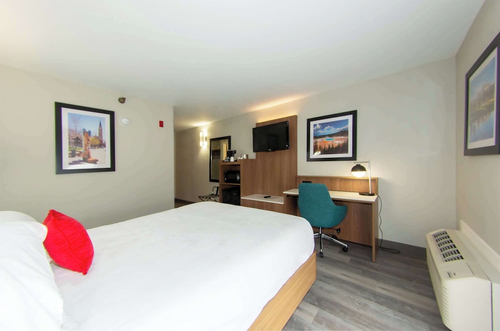 Deluxe Room, 1 Queen Bed (Pet Friendly) - Photo 1