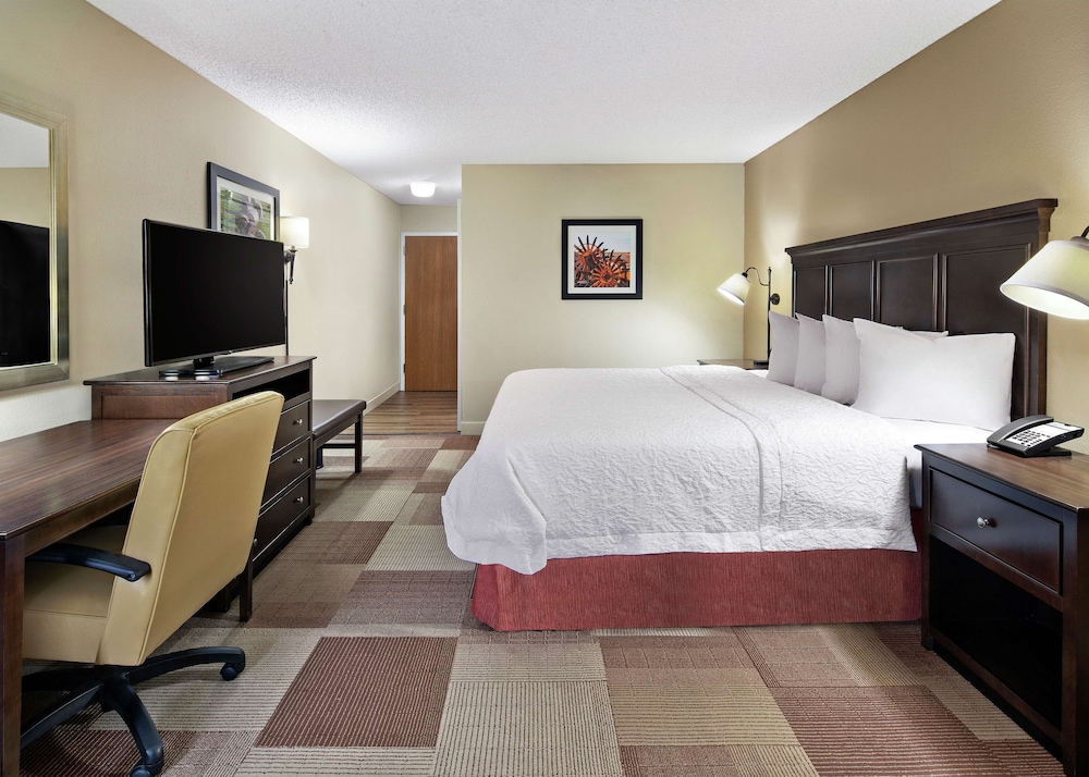 Room, 1 King Bed, Accessible, Bathtub - Photo 1