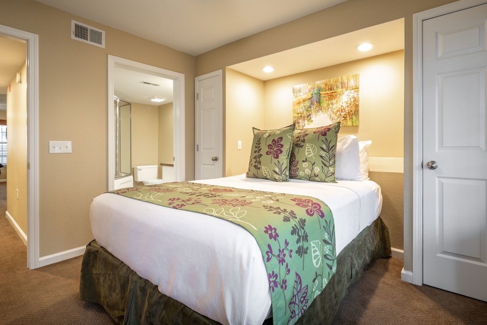 Standard Condo, 1 Bedroom photo 3
