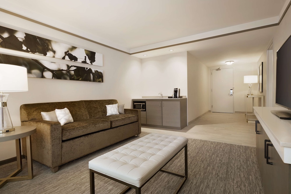 Suite, 1 Bedroom photo 3