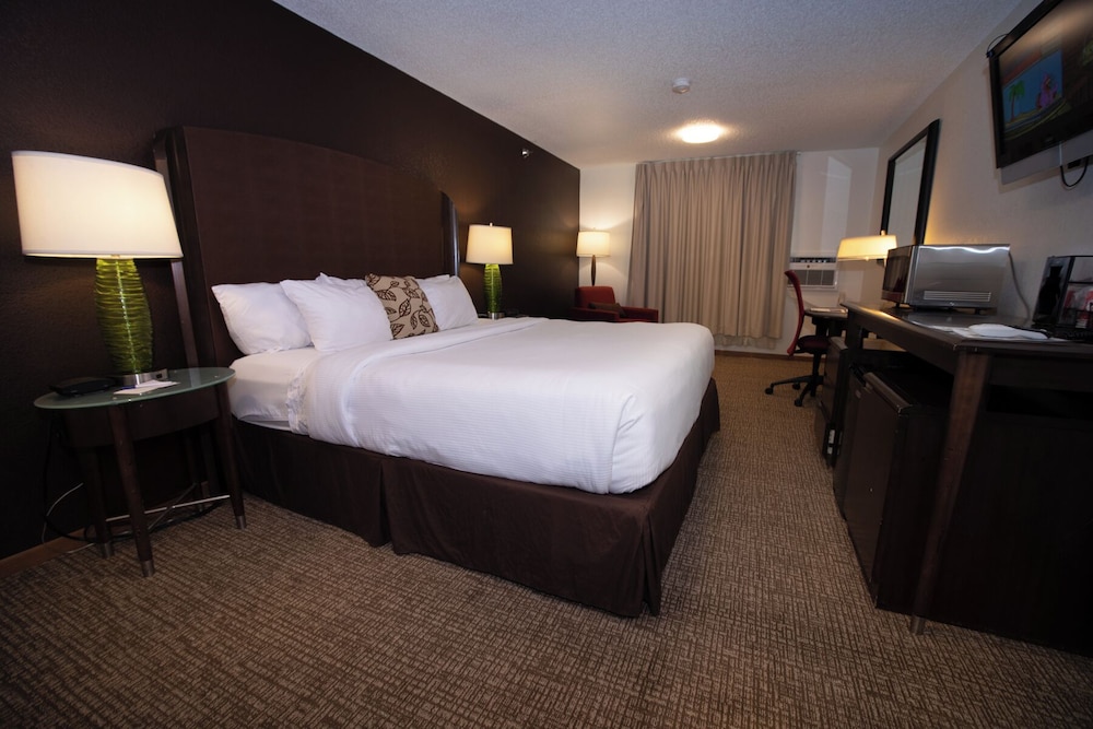 Handicap Accessible Single Room, 1 King Bed, Non Smoking - Photo 5