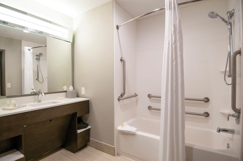 Standard Room, 1 King Bed, Accessible (Transfer Shower)