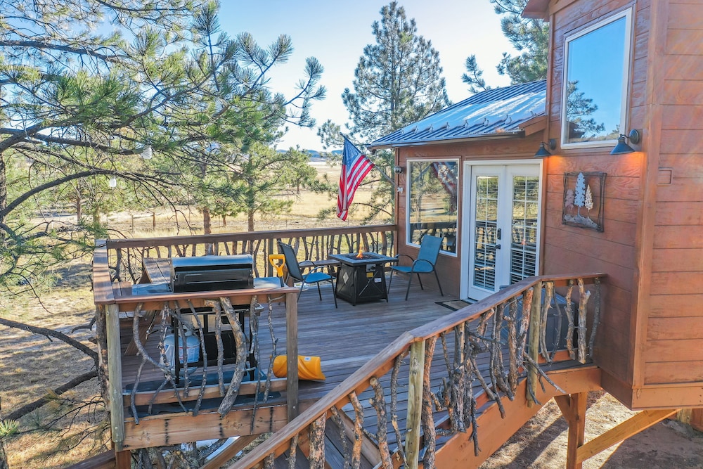 Tree House photo 2