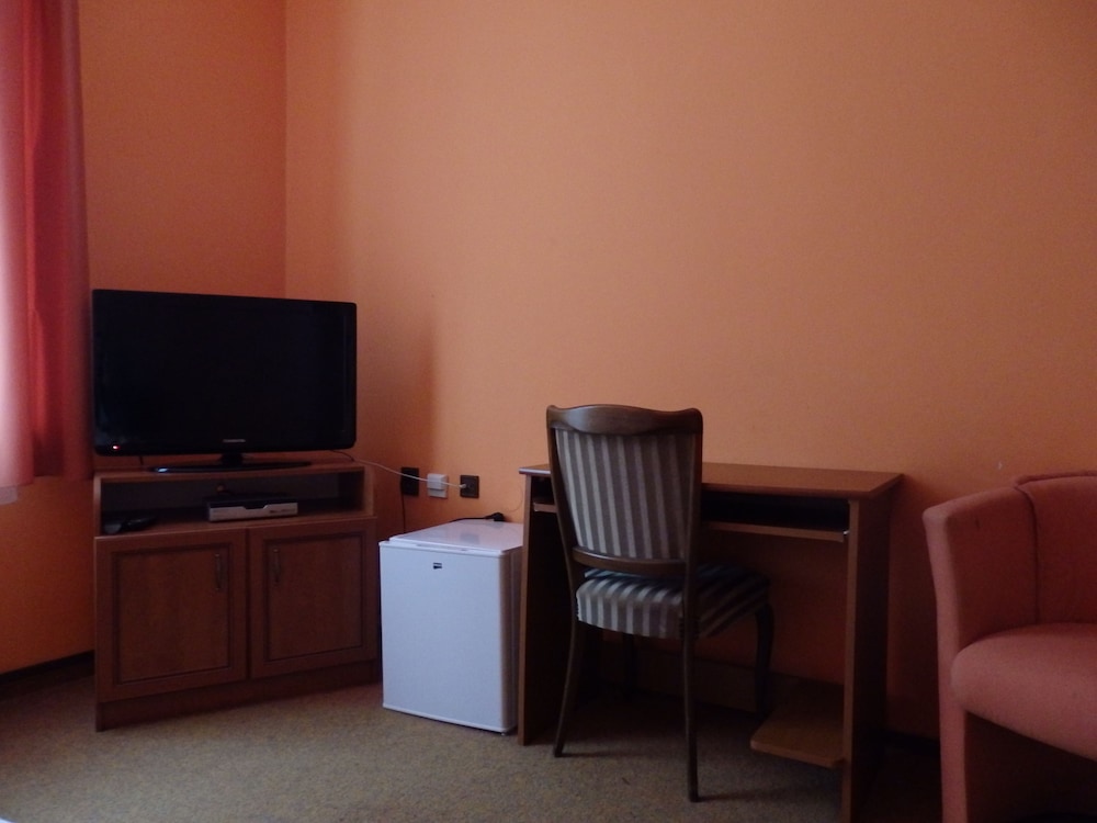 Deluxe Single Room photo 2