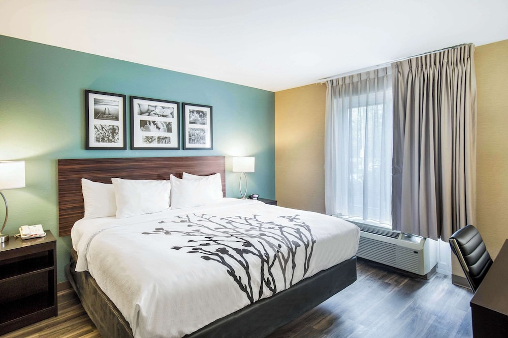 Suite, 1 King Bed, Non Smoking - Photo 1