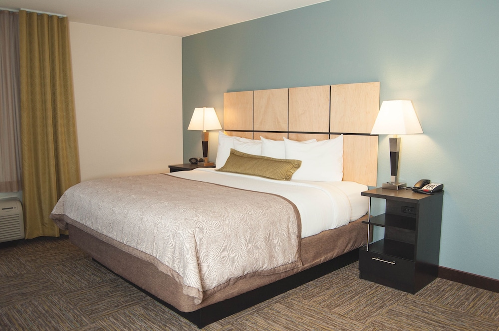 Studio Suite, 1 King Bed with Sofa bed