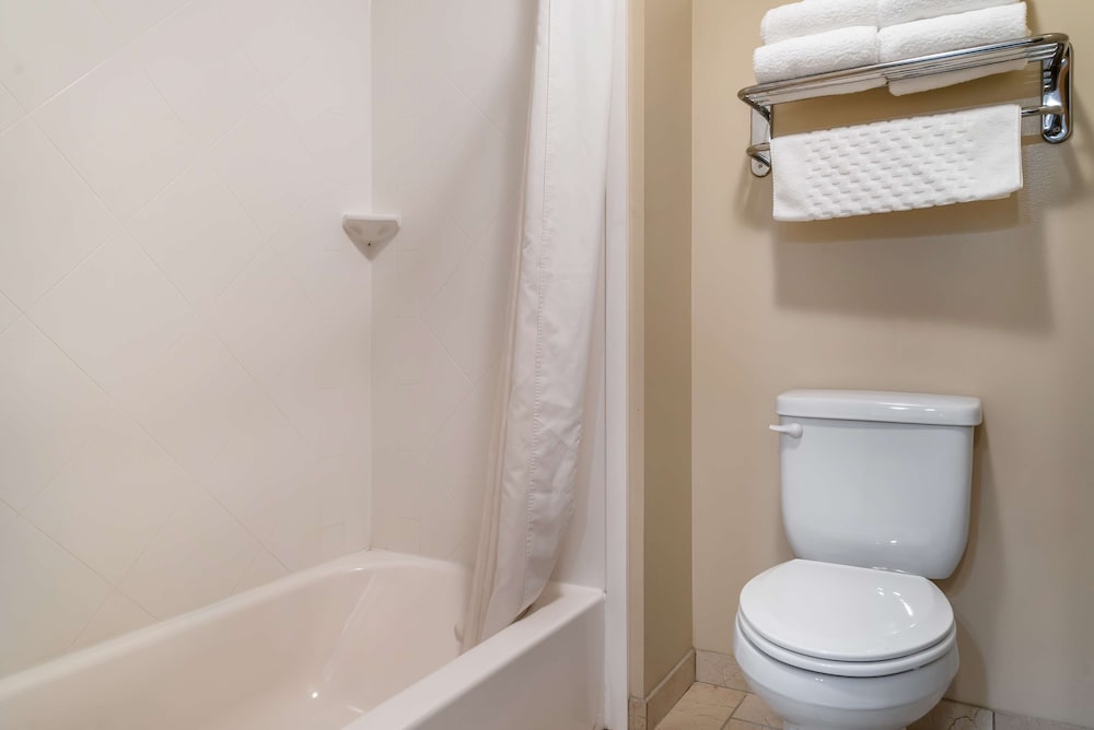 Standard Room, 1 King Bed, Non Smoking, Jetted Tub photo 3