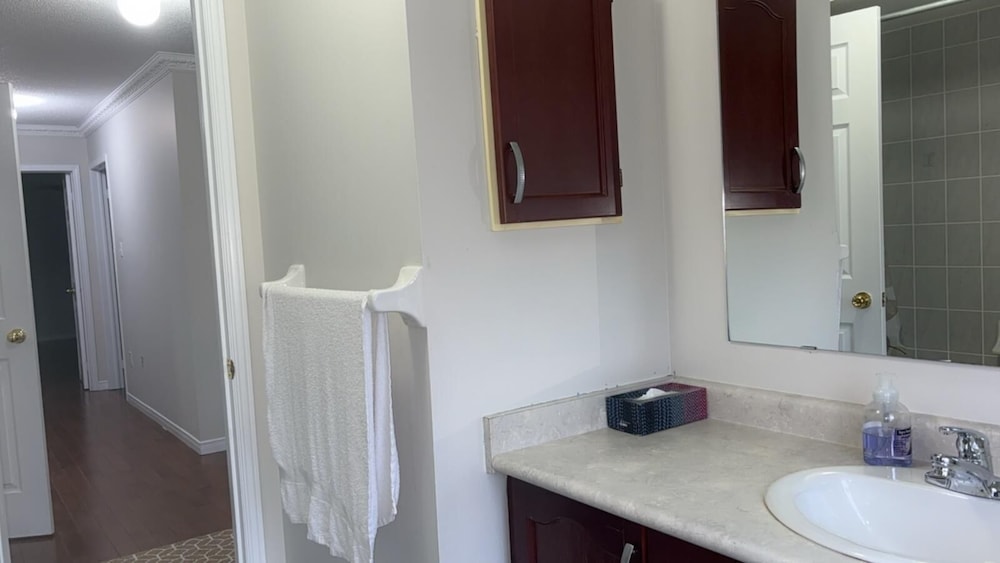 Basic Room, City View photo 3