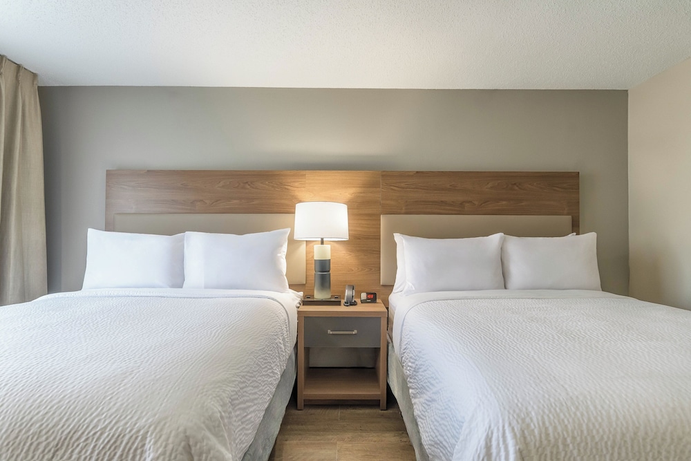 Studio Suite, 2 Queen Beds - Photo 2