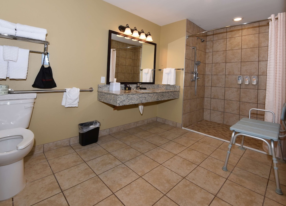 Suite, 1 King Bed, Accessible, Kitchen - Photo 9