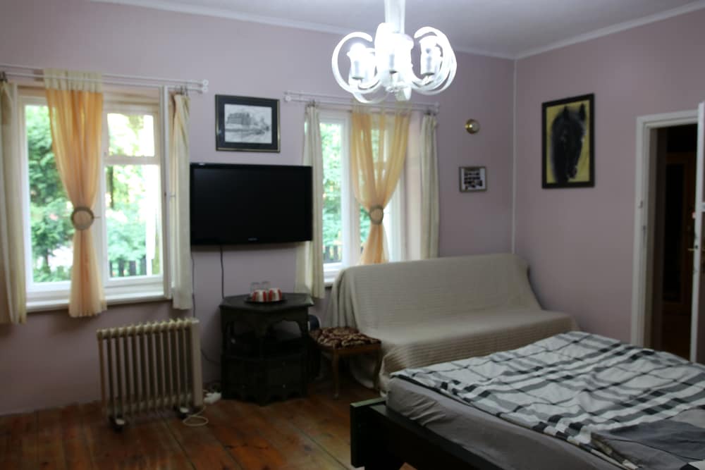 Comfort Room, 1 Double Bed With Sofa Bed, Private Bathroom (1) photo 2