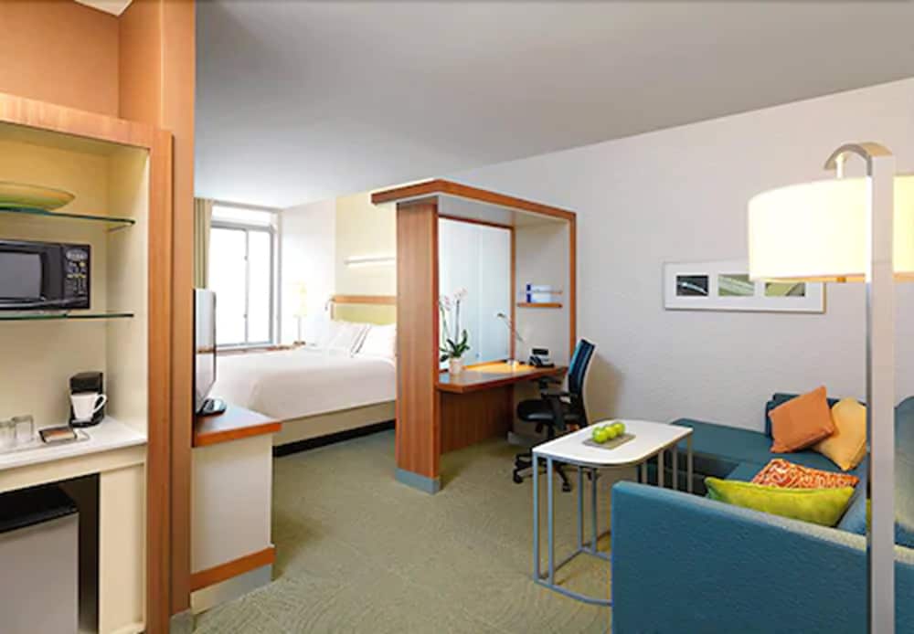 Suite, 1 King Bed with Sofa bed (View)
