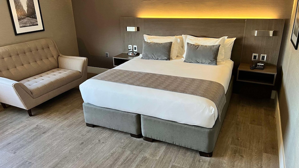 Studio, 1 King Bed, Accessible, Non Smoking
