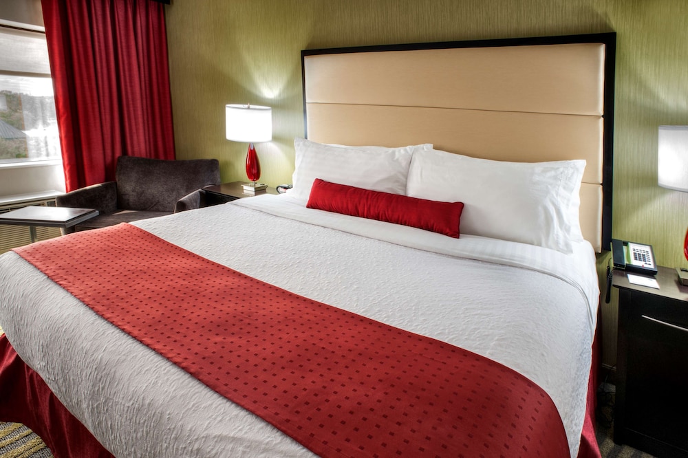 Suite, 1 King Bed, Non Smoking, Refrigerator & Microwave (With Sofabed) photo 2