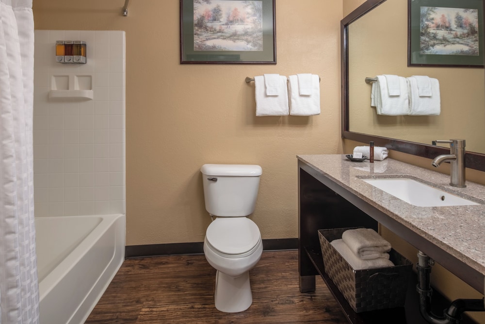 Suite photo 3