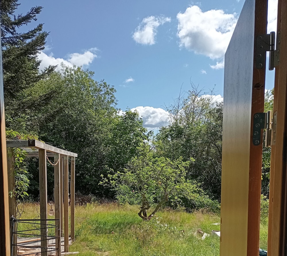 Cabin photo 1