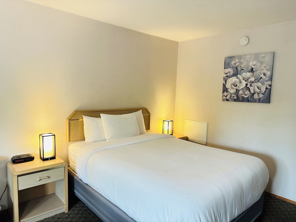 Standard Room, 1 Queen Bed, Non Smoking photo 1