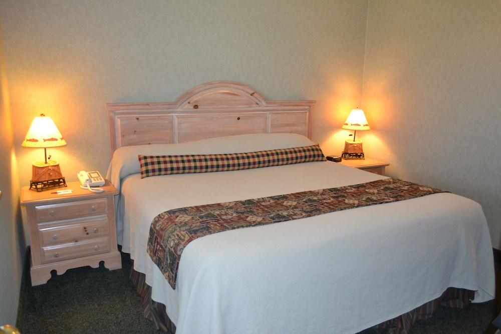 Standard Room, 1 King Bed with Sofa bed