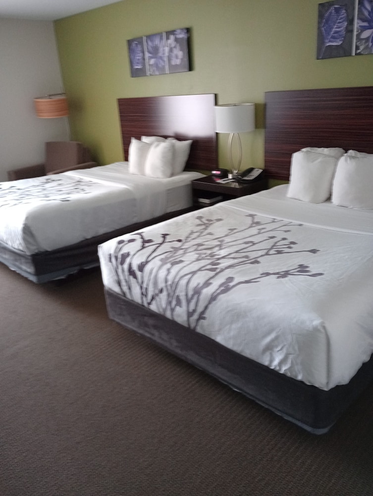 Room, 2 Queen Beds, Non Smoking - Photo 2
