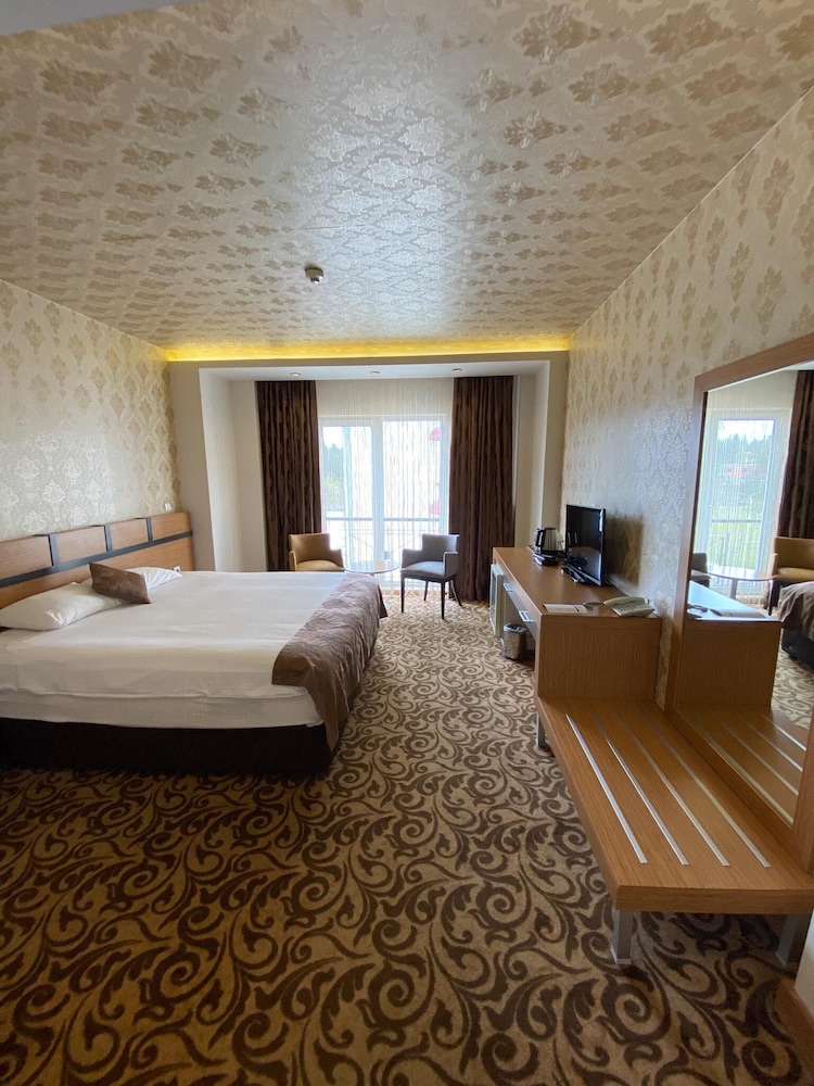 Standard Double or Twin Room photo 1